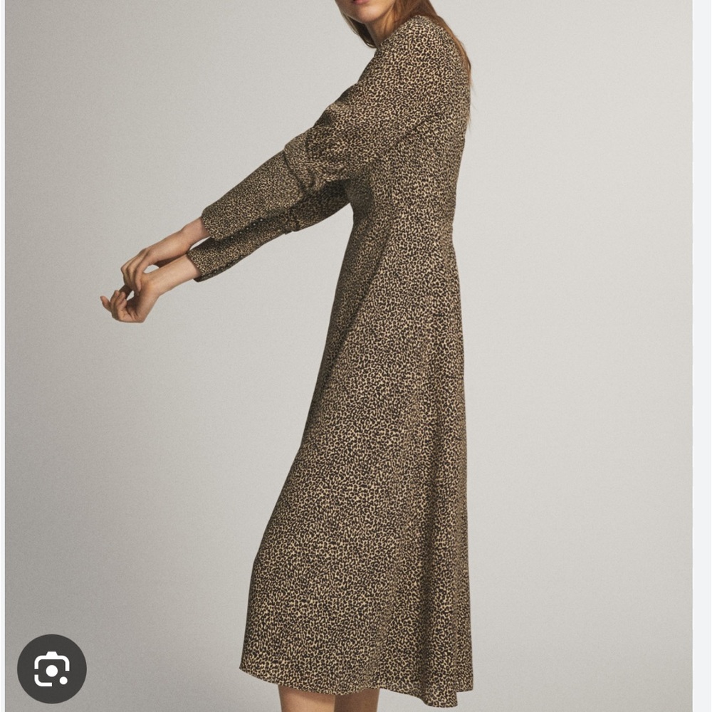 Massimo Dutti Animal Print Dress